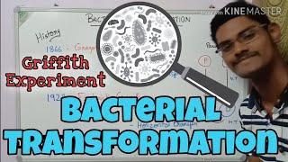 Bacterial transformation  Griffith Experiment  Tamil  ThiNK BIOLOGY  tnkumaresan  ThiNK VISION [upl. by Anada358]