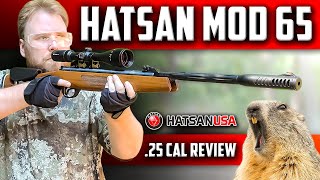 Hatsan MOD 65 Break Barrel Air Rifle REVIEW Accuracy and Shooting Test [upl. by Sol]