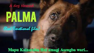 A dog named Palma  2021 Full movie explained in manipuri  True story of a dog  LE [upl. by Hilly]