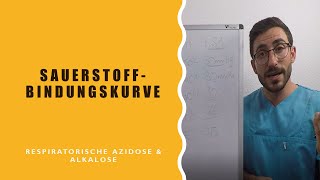 Sauerstoffbindungskurve Respiratorische Azidose und Alkalose [upl. by Eitirahc]