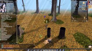 Neverwinter Nights Classes Druid Shifter All Shape ReviewRussian Postscoring [upl. by Clyde]