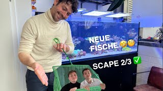 Neustart Teil 2 😳 Neue Fische ziehen ein 🤩🤣 [upl. by Anrim152]