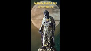 Daily worship Namo Amida Bu shorts [upl. by Groome]