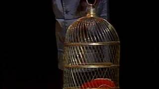 The Monty Python Dead Parrot Sketch  1989 version [upl. by Hahnert]