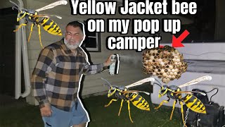 Yellow jacket bees attacked my camper  How to get rid of them ￼ [upl. by Benkley]