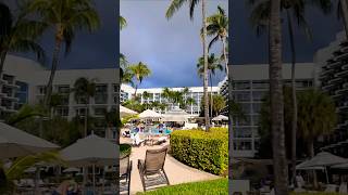 aruba palmbeach resort hotel youtubeshorts travel youtubevideo 🇦🇼🌺 [upl. by Eirak]