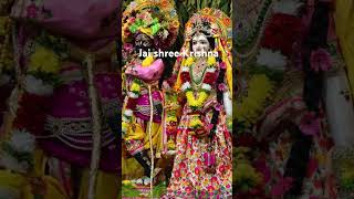 Radhe shyam song [upl. by Gurl]