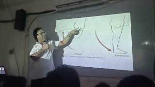 Antagonistic muscles in the movement of knee joint [upl. by Bywoods374]