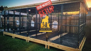 The Outdoor Dog Kennel Setup that Just Keeps Getting Better The Build and Setup  North Carolina [upl. by Thanh]