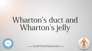 Whartons duct and Whartons jelly Anatomy Named After People 🔊 [upl. by Dustman]