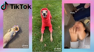 For you lil Uzi a rob zombie poster Weeeeeeeeeee  TikTok compilation [upl. by Sybila]