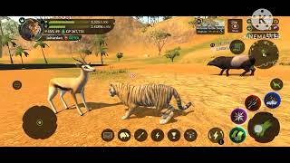 the tiger game lvl 49 coop magic sands [upl. by Ratcliff366]