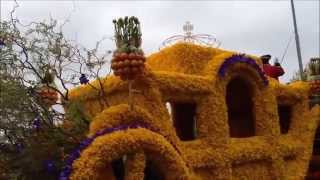 Keukenhof  Bloemencorso Bollenstreek [upl. by Juan]