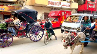 Ancient Egypt in in 2024  Luxor Walking Tour in 4K [upl. by Padegs]