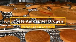 Zoete Aardappel Drogen Voedseldroger  Gedroogde zoete aardappel tips [upl. by Sundstrom]