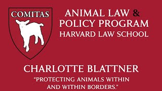 111819  Charlotte Blattner quotProtecting Animals Within and Across Bordersquot [upl. by Hannus]