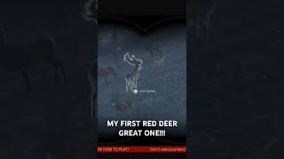 First RED DEER GREAT ONE [upl. by Hallam169]