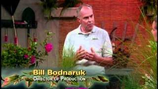 The Basics of Horticulture 12 [upl. by Daza]