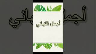 تهنئة بمناسبة السنة الهجرية الجديدة 1446 [upl. by Dnalel]