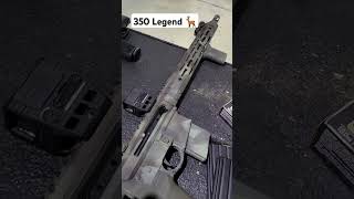 350 Legend Ar15 hunting deerhunting 350legend [upl. by Chatav]