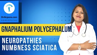 GNAPHALIUM POLYCEPHALUM Homeopathic Medicine for NUMBNESS [upl. by Auqined888]