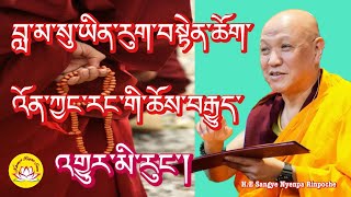 HE Sangye Nyenpa Rinpoche’s speech about tradition rumtekkarmaekhenpo sangye Nyenpa Rinpoche [upl. by Ayikur]