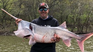 Monster Fish in Oklahoma Snagging Paddlefish with TMcDs Guide Service [upl. by Sanders851]