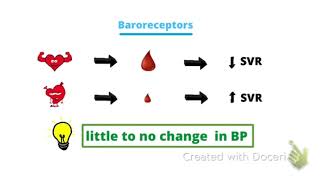 Dobutamine mechanism of action  Inotrope  Vasopressors دوبيوتامين  دواعم [upl. by Anaehr501]