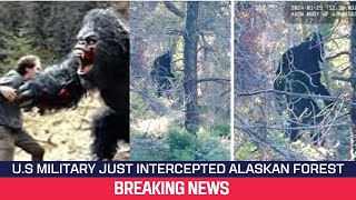 The US Government SHUT DOWN Expedition Bigfoot After TERRIFYING Discovery [upl. by Yenhoj]