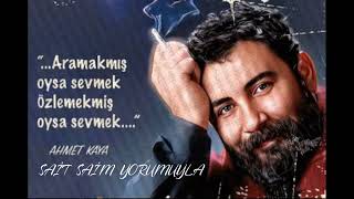 SAİT SAİM YAMAK  ACILARA TUTUNMAK [upl. by Savior]