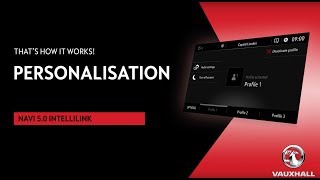 Navi 50 IntelliLink  Personalisation  Thats How It Works [upl. by Yro466]