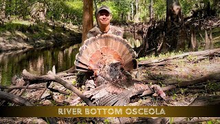 OSCEOLA HUNTING on FL WMA  A River Bottom Adventure [upl. by Ahsekram754]