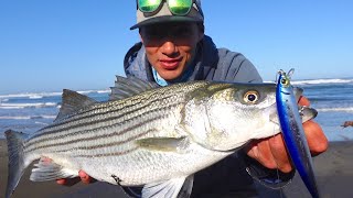 Early Season STRIPED BASS Surf Fishing with a NEW LURE [upl. by Malas]