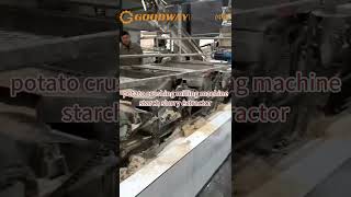 potato crushing milling machine starch slurry extractor [upl. by Ingmar544]