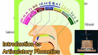 Introduction to ARTICULATORY PHONETICS CONSONANTS by speech and language pathology [upl. by Lananna]