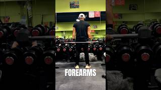 Forearms blast 🔥 forearms forearmsworkout gym gymworkout gymshorts shortsviral [upl. by Aelaza]