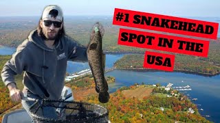 How did we PHYSICALLY FISH for a WHOLE day Snakehead Ep 1 [upl. by Ymmas]