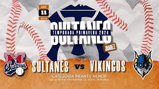 SULTANES VS VIKINGOS 11 ABRIL 2024 [upl. by Hannover]