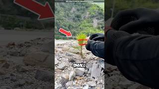 Rescuing a Tiny Roadside Plant 😍 [upl. by Pritchett]