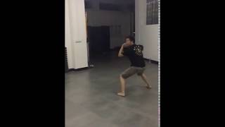 Bajiquan Xiaojia by Tang Qiang Nanchang Bajiquan Training Center [upl. by Feer]