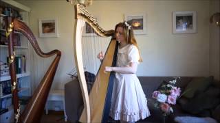 Secret Garden Heartstrings cover on the harp [upl. by Nannoc]