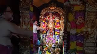 Om Muruga vel undu venai ilai devotionalsongs muruganbakthisongs murugansongs lordsivasongs [upl. by Mina630]