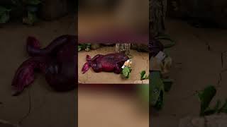 Stop Motion ASMR Fish Figh 22102024 fish shorts asmr fynnyvideo fish funny [upl. by Balkin67]