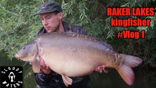 Raker lakes kingfisher vlog 1 [upl. by Noe]