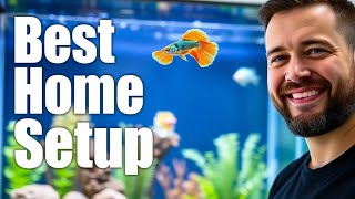 How to Breed Guppies in a Stunning Aquarium aquarium [upl. by Beau]