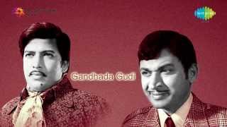 Gandhada Gudi  Ellu Hogalla song [upl. by Thayne]