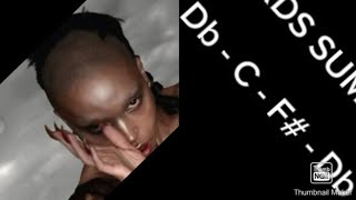 FKA twigs  Eusexua CHORDS [upl. by Bond502]