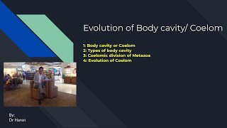 Evolution of Body cavity or Coelom [upl. by Htebesile]