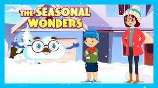 THE SEASONAL WONDERS  Tia amp Tofu  Storytime All Year Round Seasonal Adventures for Children [upl. by Corene184]