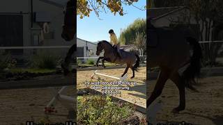 Rhythmus im leichten Sitz momoequestrian equestrian horseriding [upl. by Hubsher]